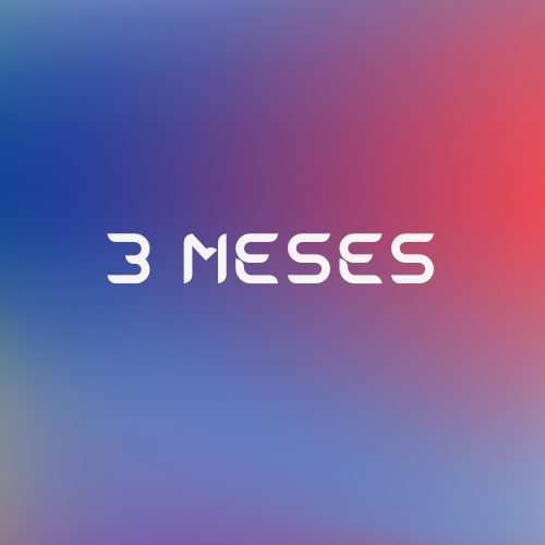 Plano Trimestral - 1 Tela